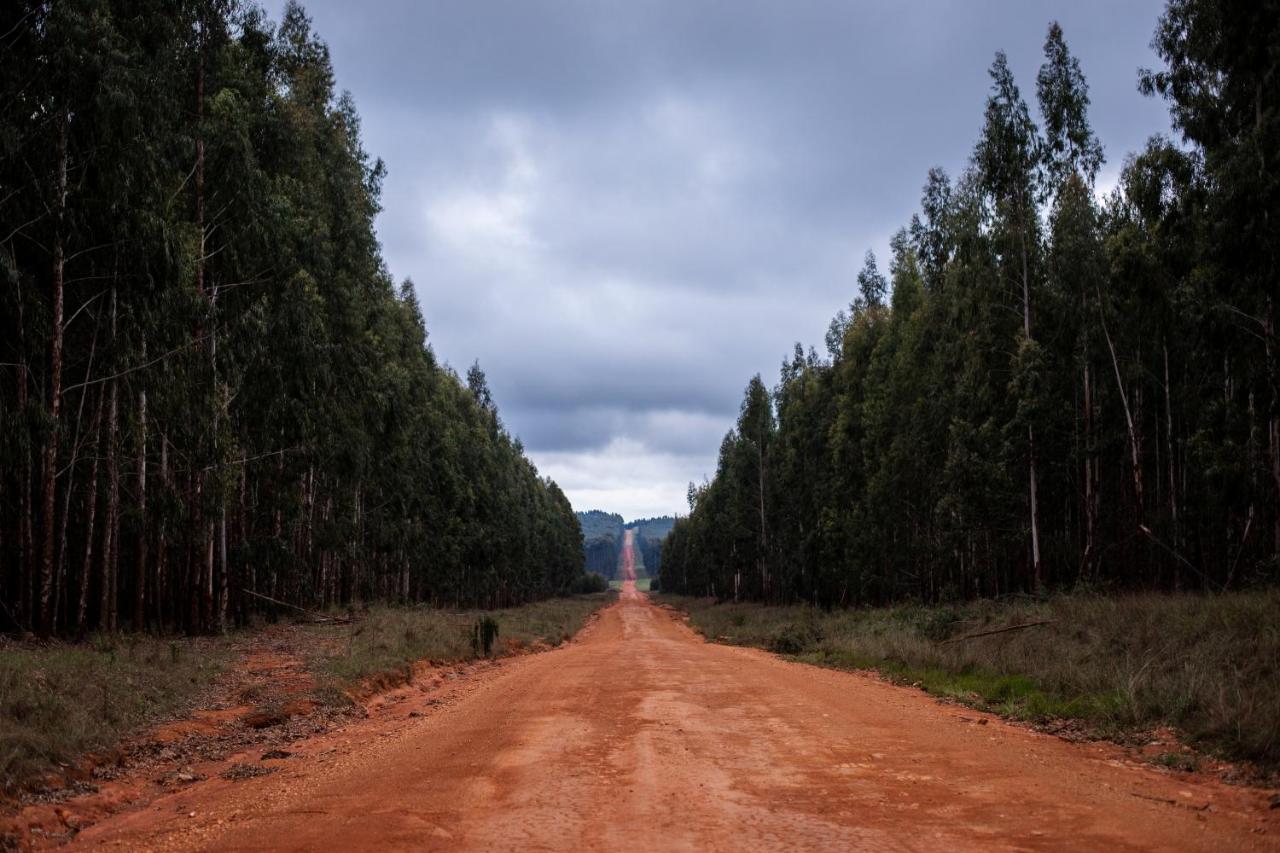 The Bubble Valley Piet Retief Exterior photo